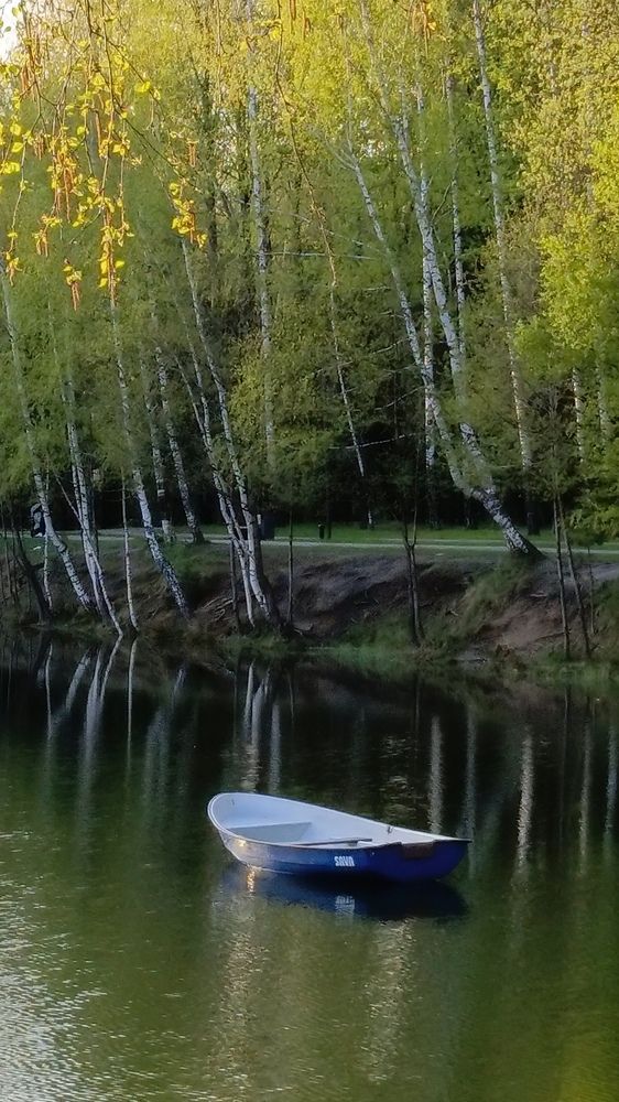 Photo #12252308