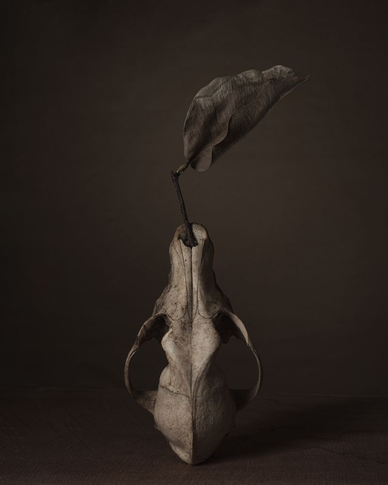 Photograph by Aliaksei Shandalin