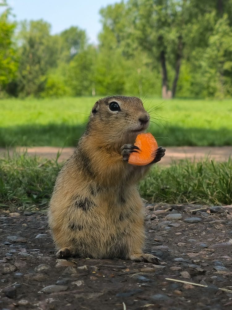 Photograph by Артем Капустин