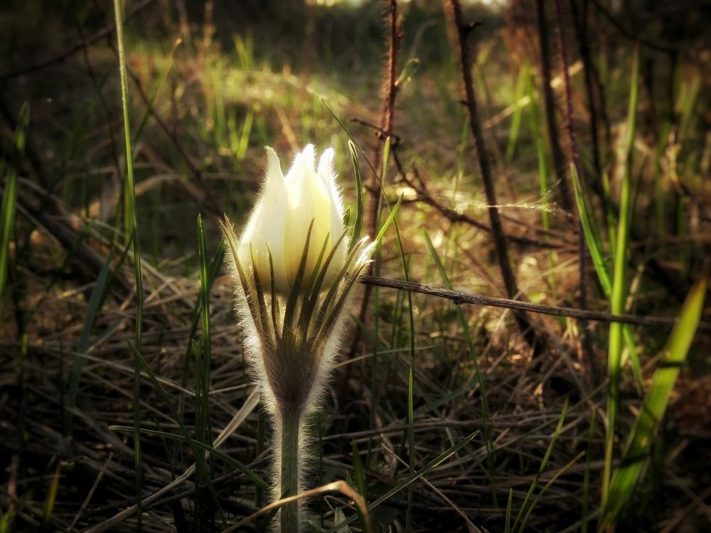 Фотография автора Екатерина Солохина