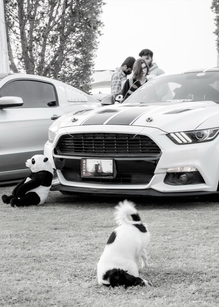 Photograph by KARTHI THANGAIAH