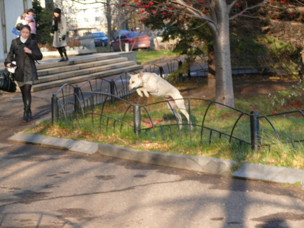 Фотография автора Клавдия Васильева