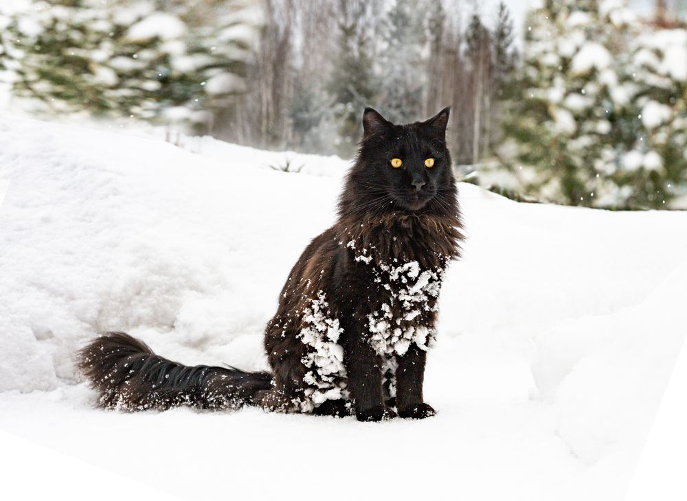 Photograph by NADEZHDA PELYMSKAIA