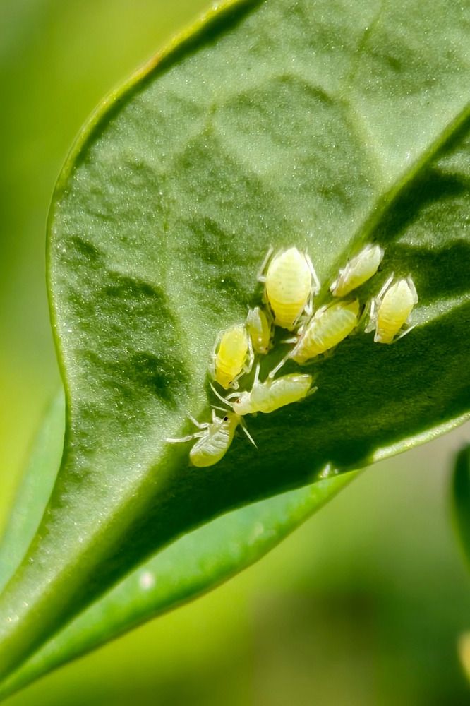 Photograph by Светлана Кравченко