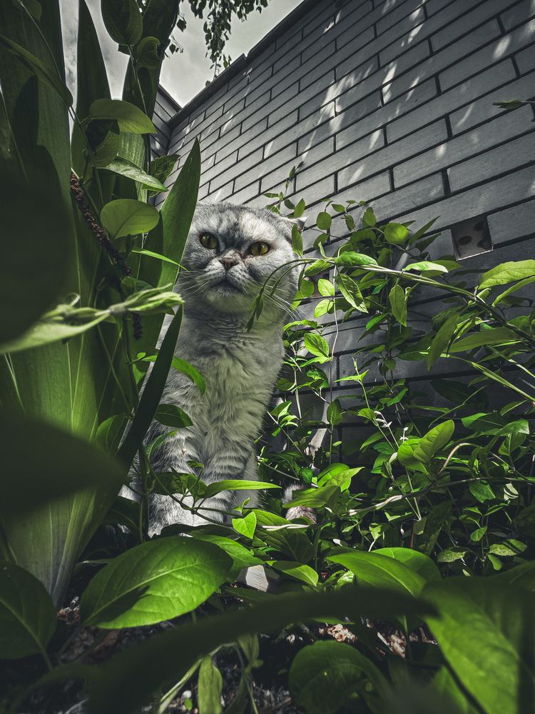 Photograph by Былков Евгений