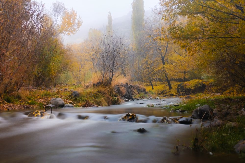 Misty River