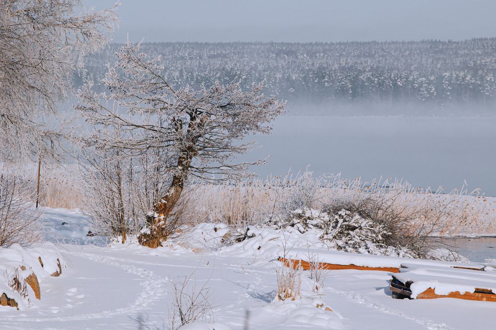 Photograph by Андрей Чипан