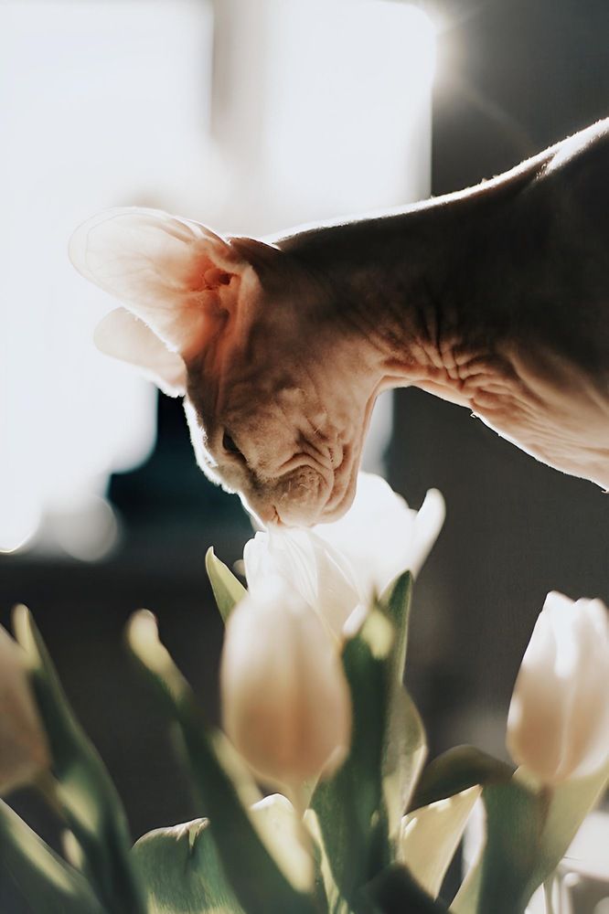 Photograph by Юлиана Новикова