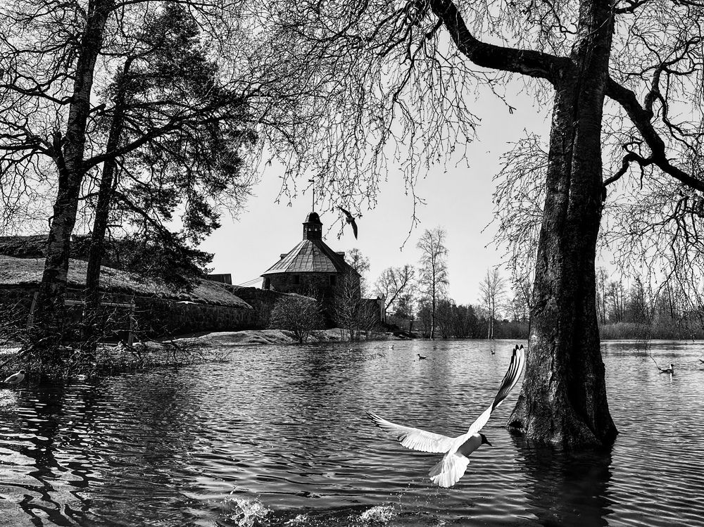 Photograph by Анна Титова