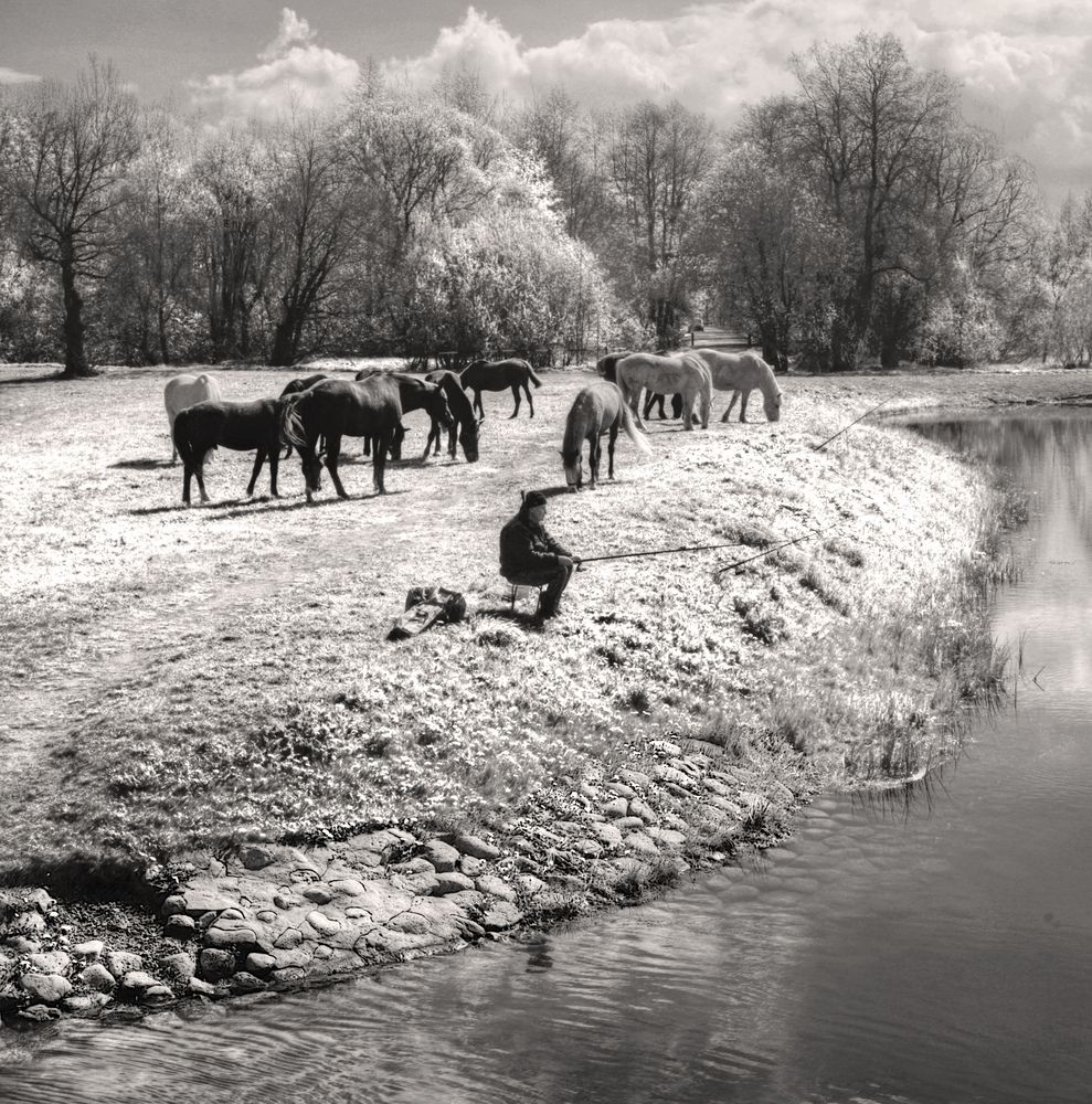 Photograph by Сергей Григорьев