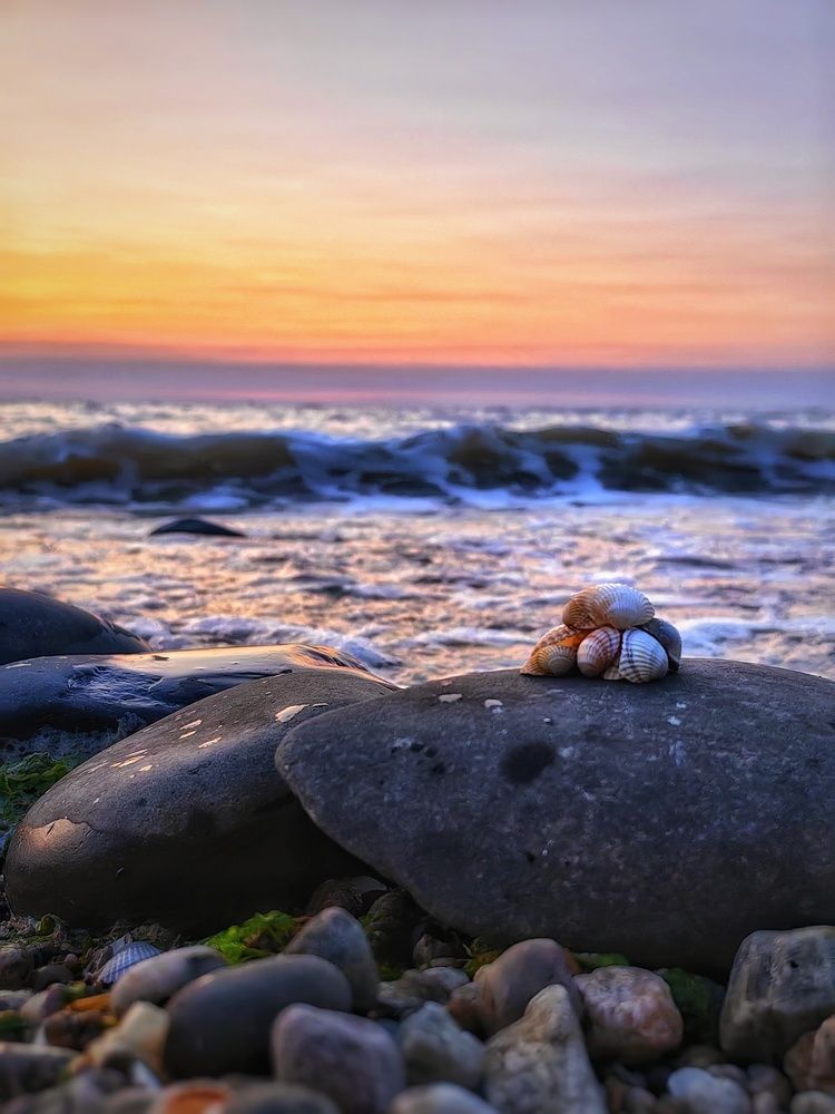 Photograph by Сергей Зайцев