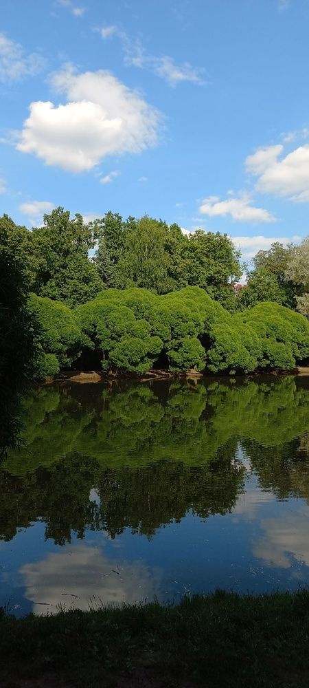 Photograph by Наталья Грекова