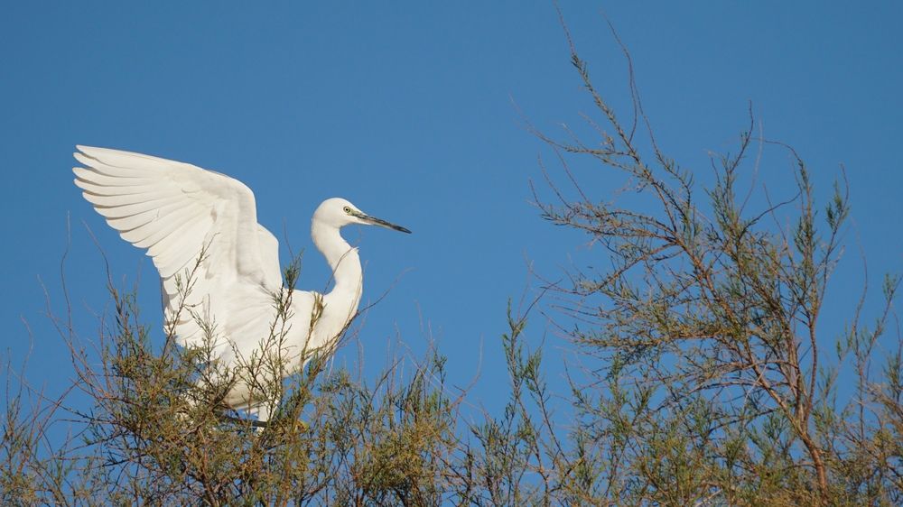 Фотография автора Sotiris Makrygiannis