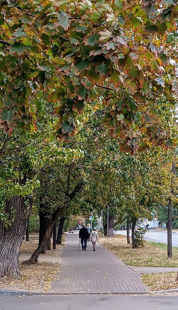 Фотография автора Дарья Петровская