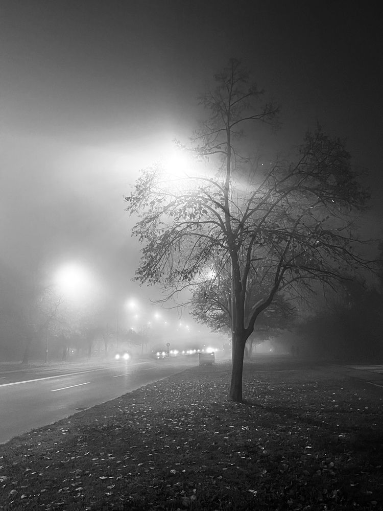 Shadows in the fog