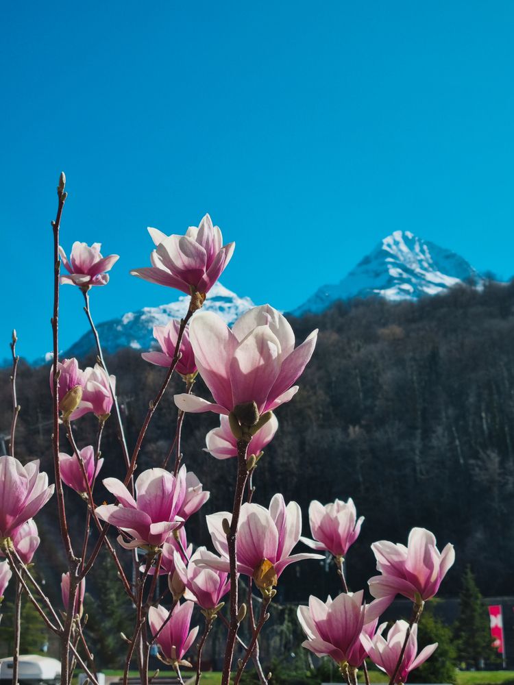 Фотография автора Наталья Агапова