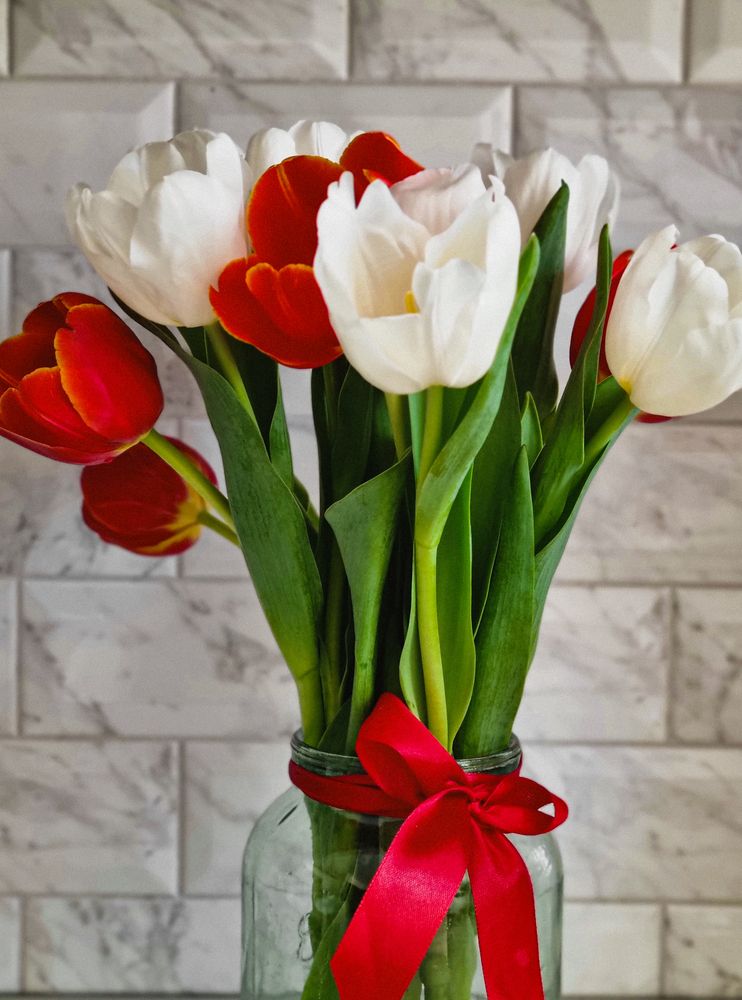 Фотография автора Наталья Агапова