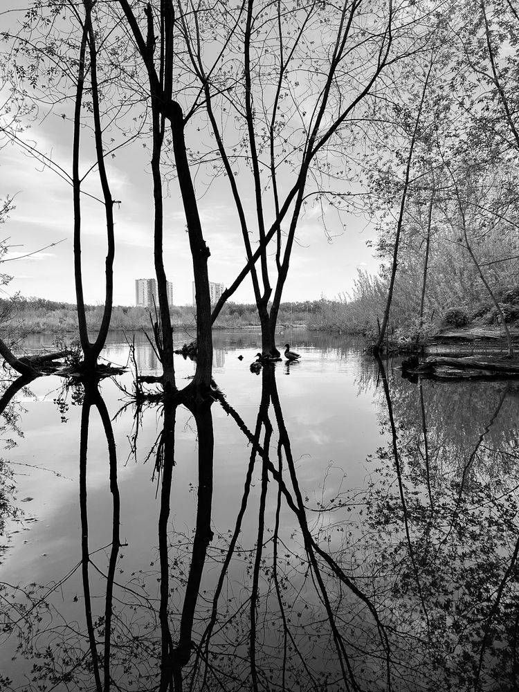 Photograph by Константин Шипицын