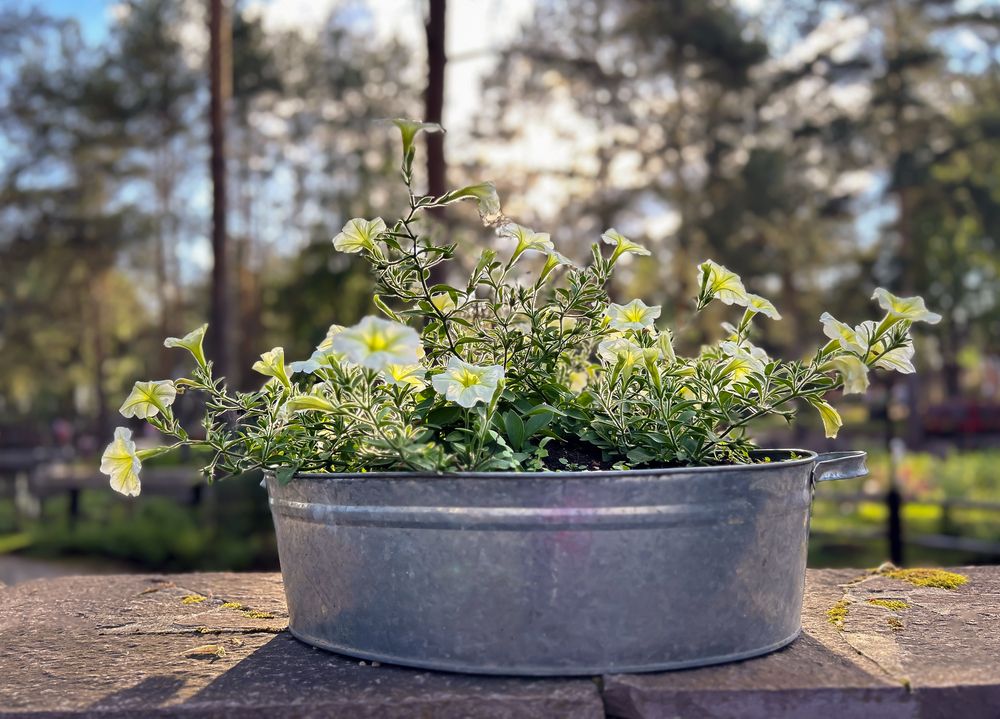 Photograph by Дмитрий Захаров