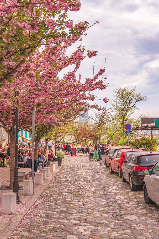 Photograph by Diony Alexander Sánchez Estevez