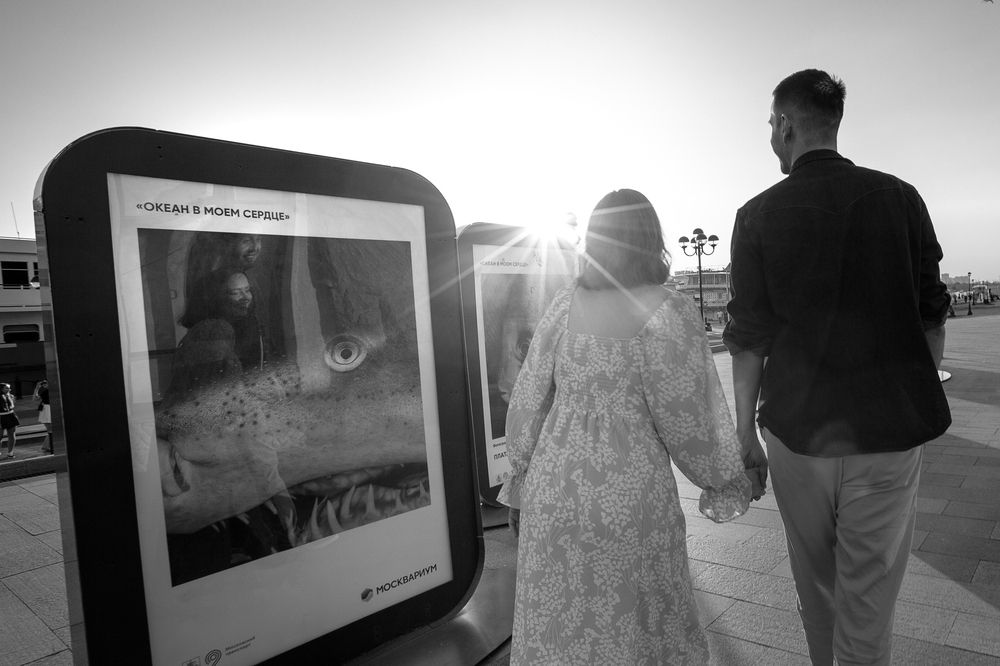 Океан в моем сердце