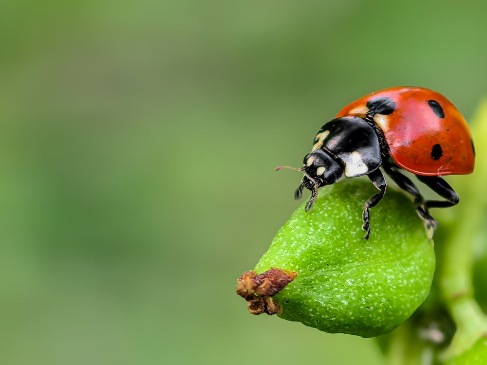 Photograph by сергей таранов