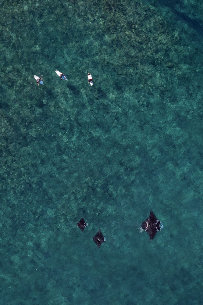 Photograph by ANTON Julien