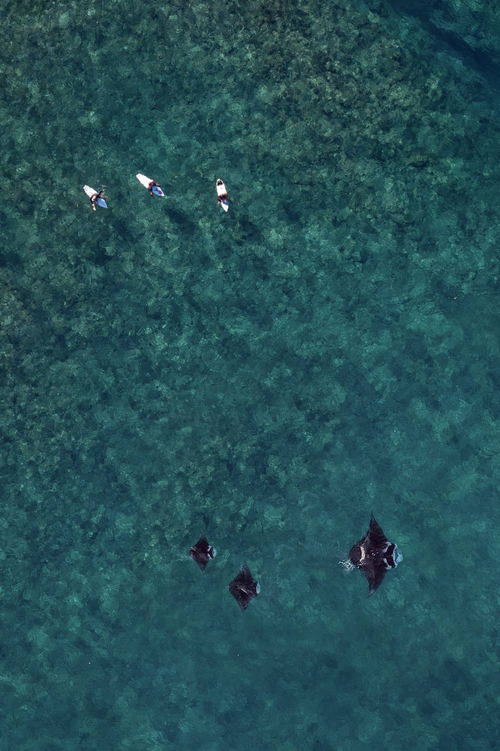 Фотография #12253636