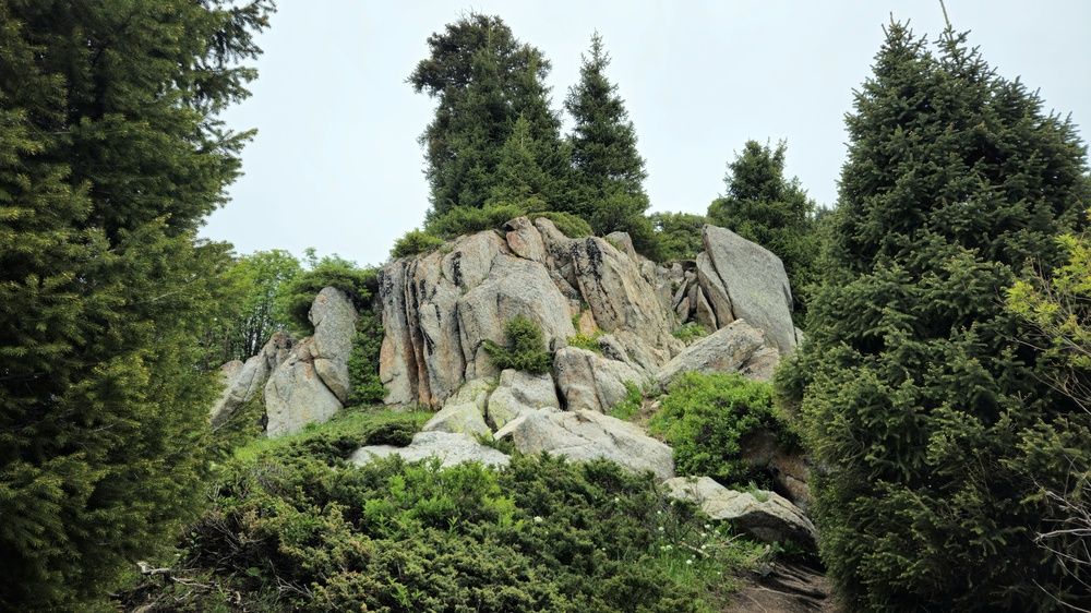 Photograph by Денис Андреевич
