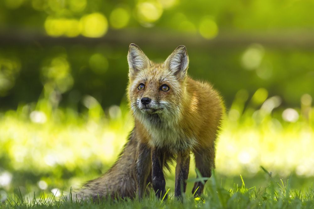 Photograph by Lu Gao