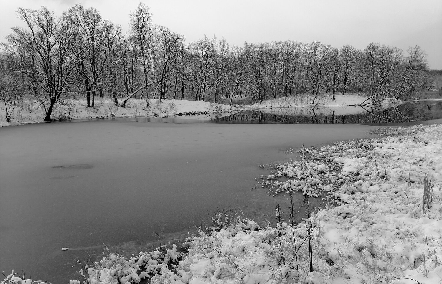 Photo #12253771
