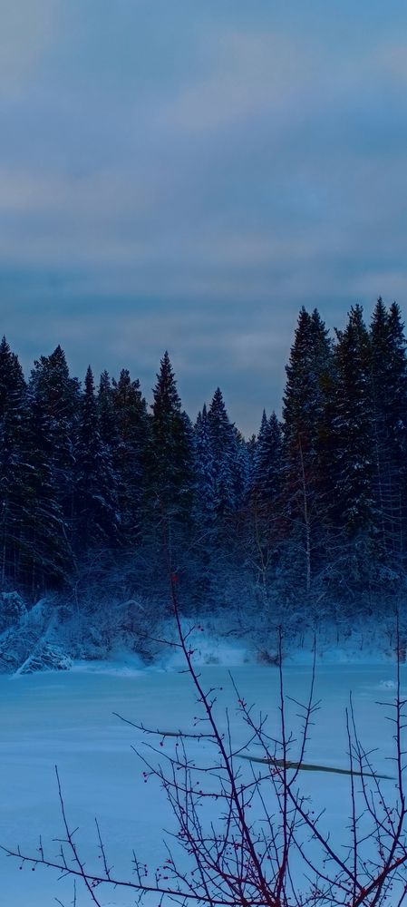 Photograph by Тихон Платунов