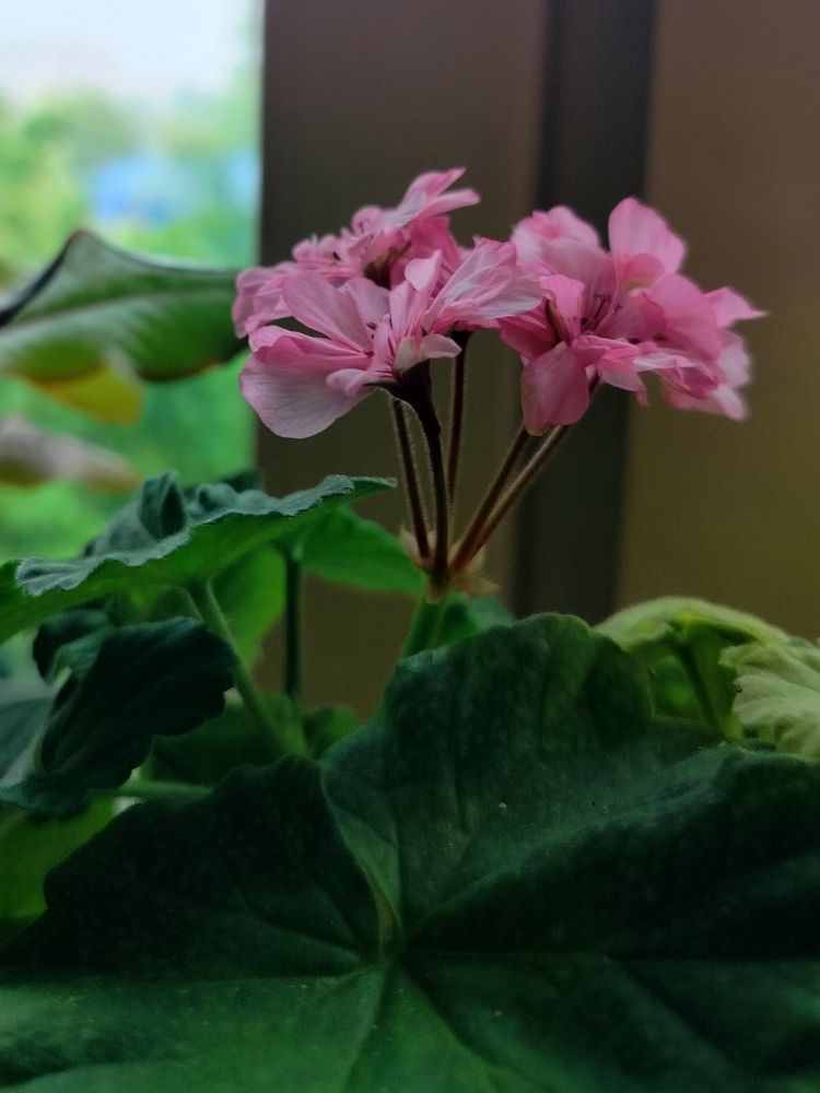 Фотография автора Наталья Драгун