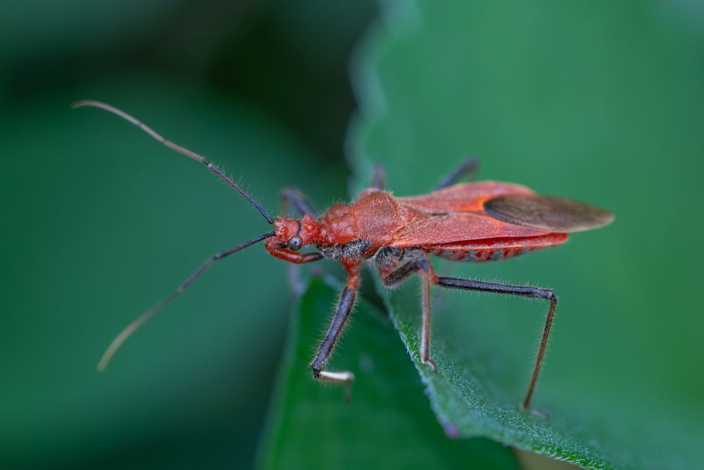 Photograph by Suzuki Ryuta