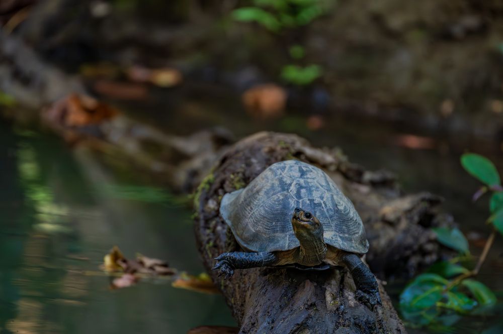 Photograph by Atul Sharma