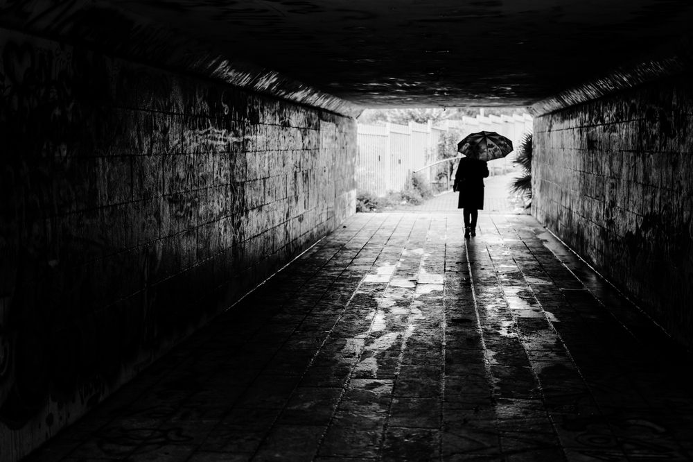 Фотография автора David Solodar