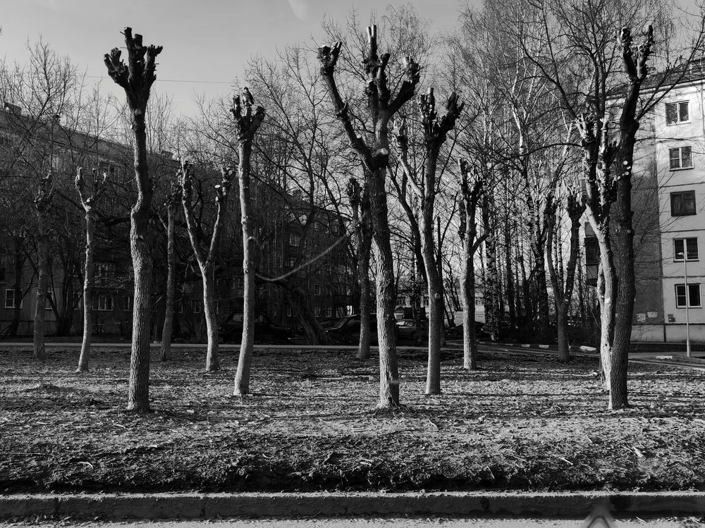 Photograph by Калюнова Наталья