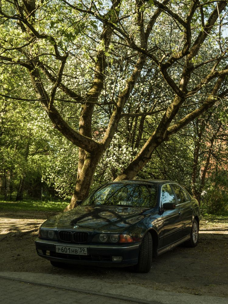 Photograph by Руслан