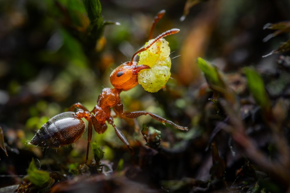 Фотография автора Alexander Dolapchiev