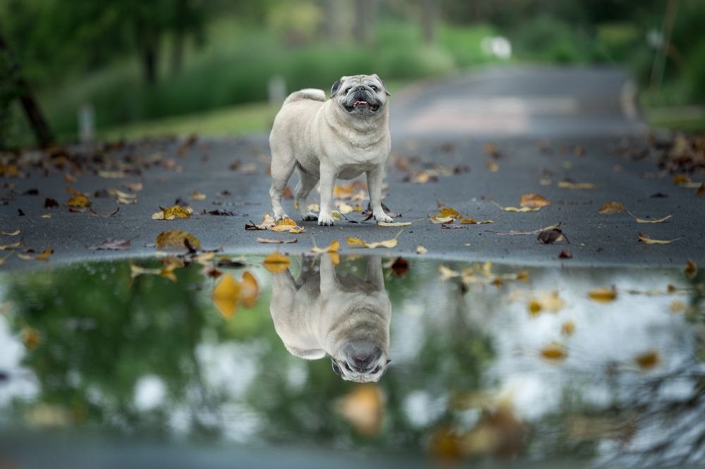 Photograph by Lu Wenyi