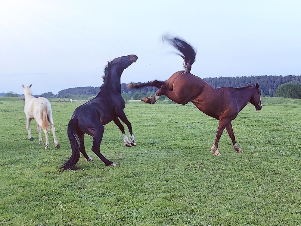 Photograph by Лолита Богачева