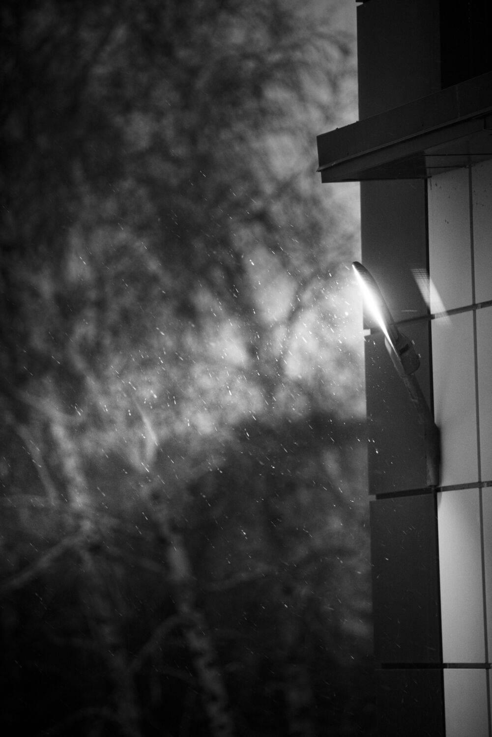 Photo #12254560