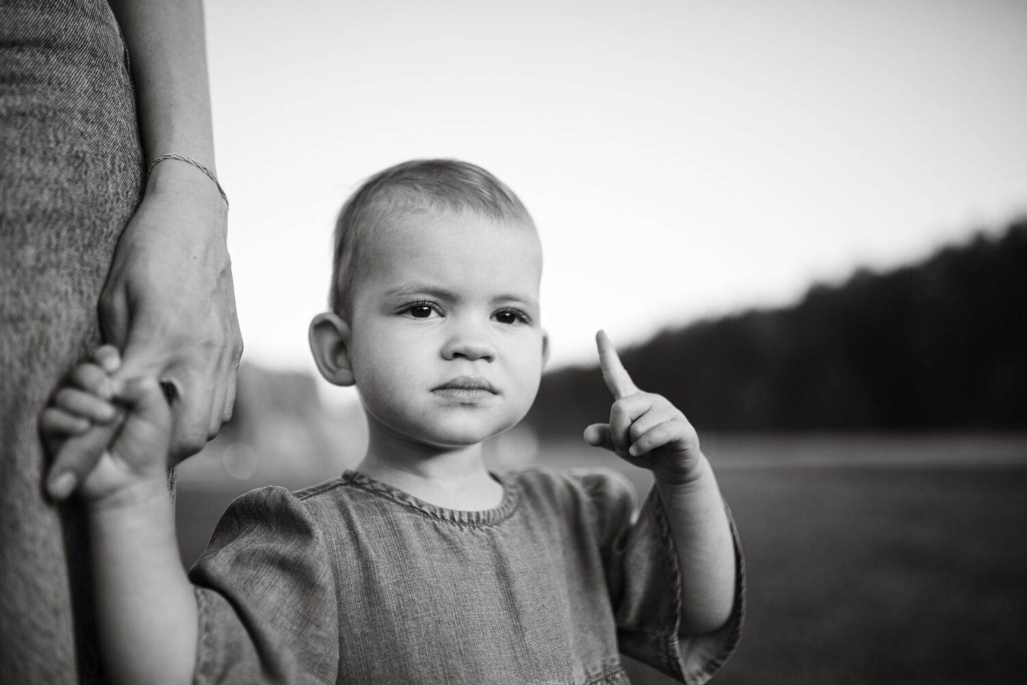 Photo #12254688
