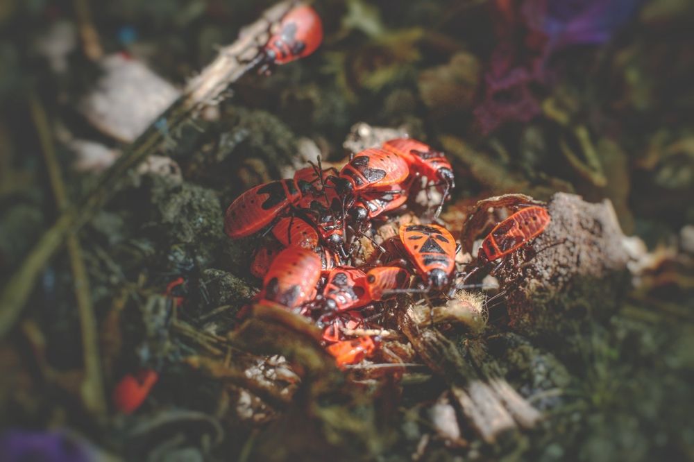 Photograph by Magic Helios