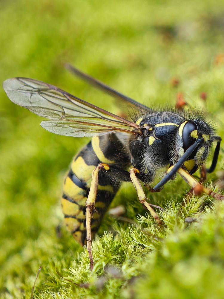 Фотография автора Тамара Нижельская