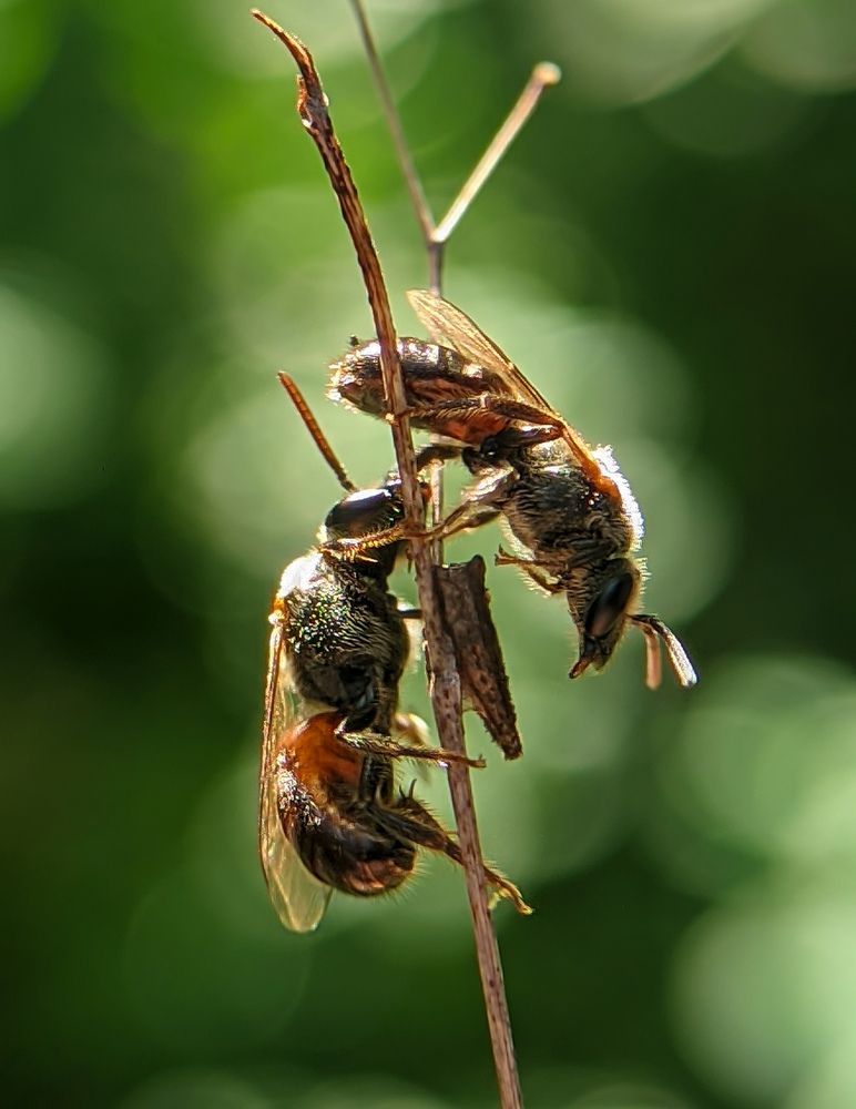 Photograph by Ameen Ahmed L