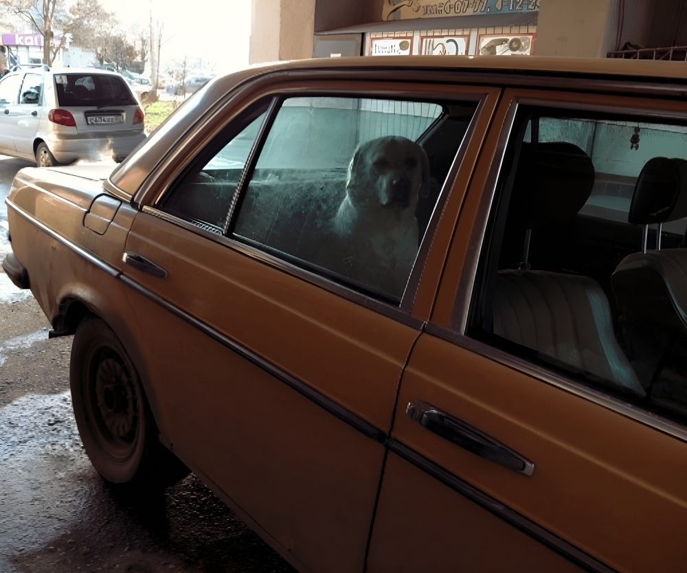 Фотография автора Анатолий Дячина