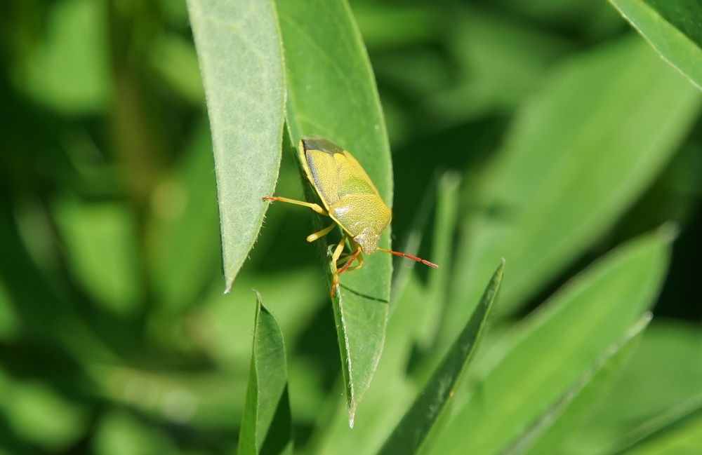 Photograph by сергей мишаков