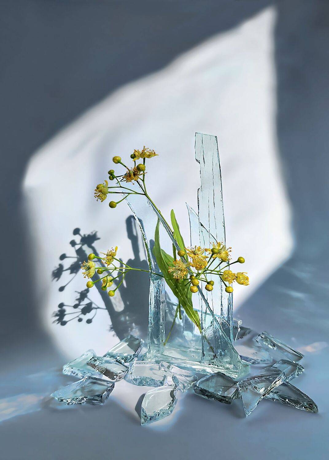 Липовый танец на осколках...