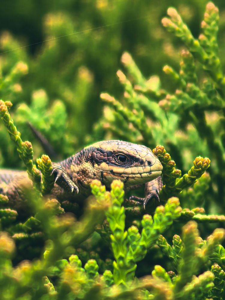 Photograph by Валентина Фомичёва